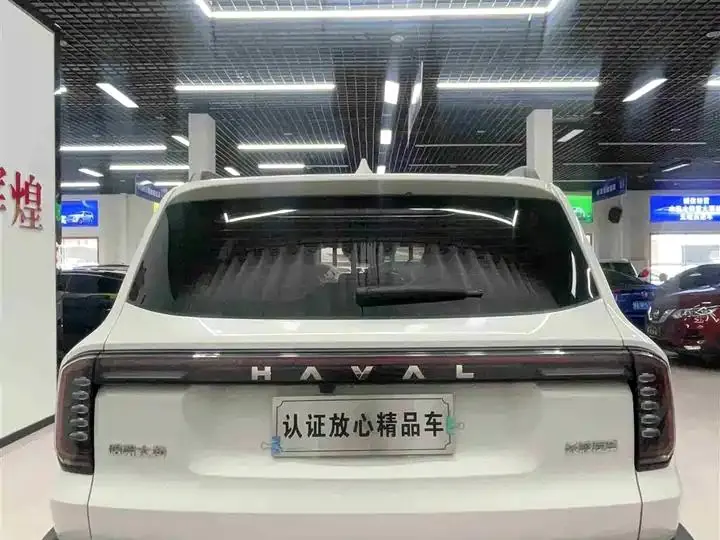 Haval Big Dog 2024 1.5T DCT Border Animal Husbandry Edition 5
