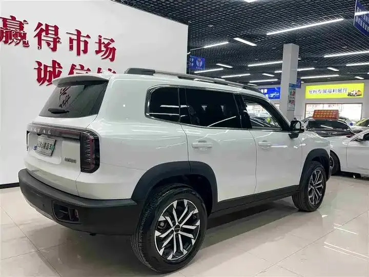 Haval Big Dog 2024 1.5T DCT Border Animal Husbandry Edition 6