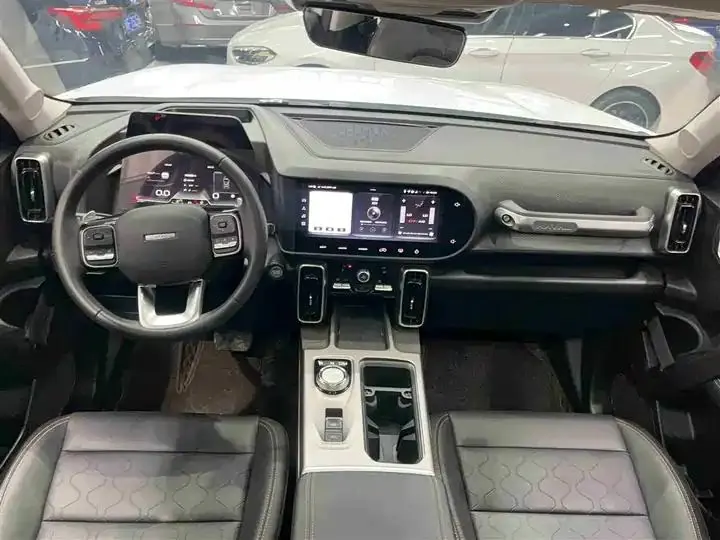Haval Big Dog 2024 1.5T DCT Border Animal Husbandry Edition 8