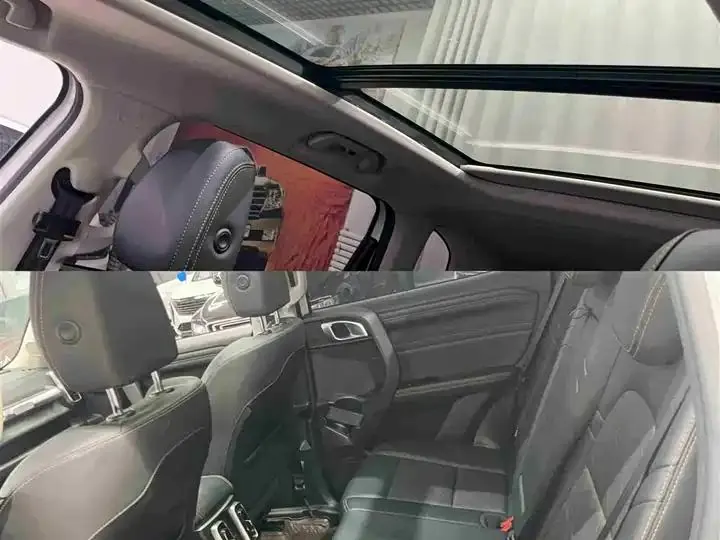 Haval Big Dog 2024 1.5T DCT Border Animal Husbandry Edition 9