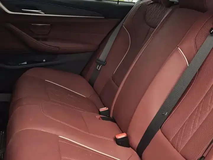 BMW 5 Series 2023 530Li Leading M Sports Suit 11
