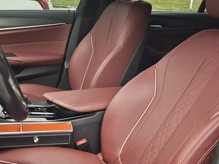 BMW 5 Series 2023 530Li Leading M Sports Suit 12