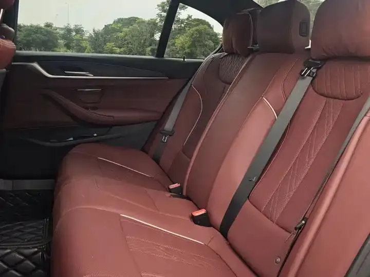 BMW 5 Series 2023 530Li Leading M Sports Suit 5