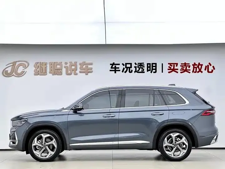 XingyueL (Monjaro) 2024 2.0TD DCT EVO Two-Drive Long Wind Edition 3