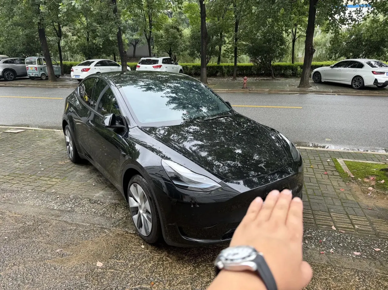 2022 Model Y Refreshed Rear-Wheel-Drive Version 2