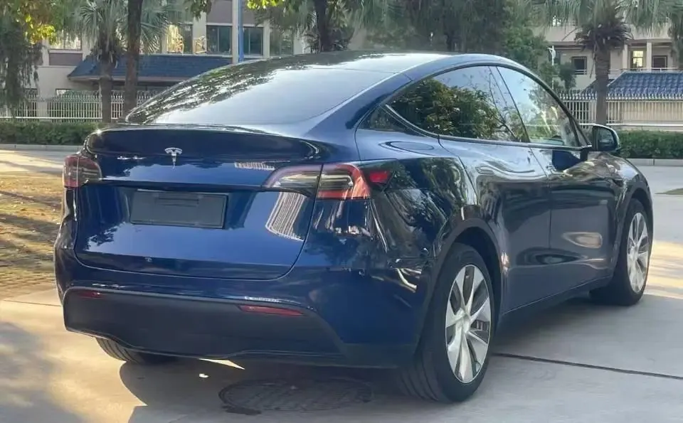 2021 Model Y Standard Range Rear-Wheel Drive Edition 2