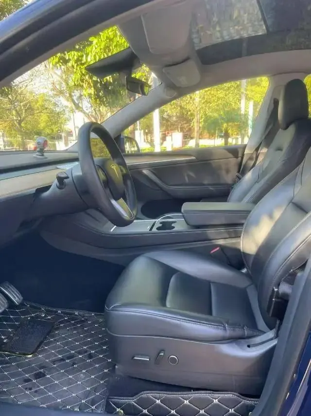 2021 Model Y Standard Range Rear-Wheel Drive Edition 5