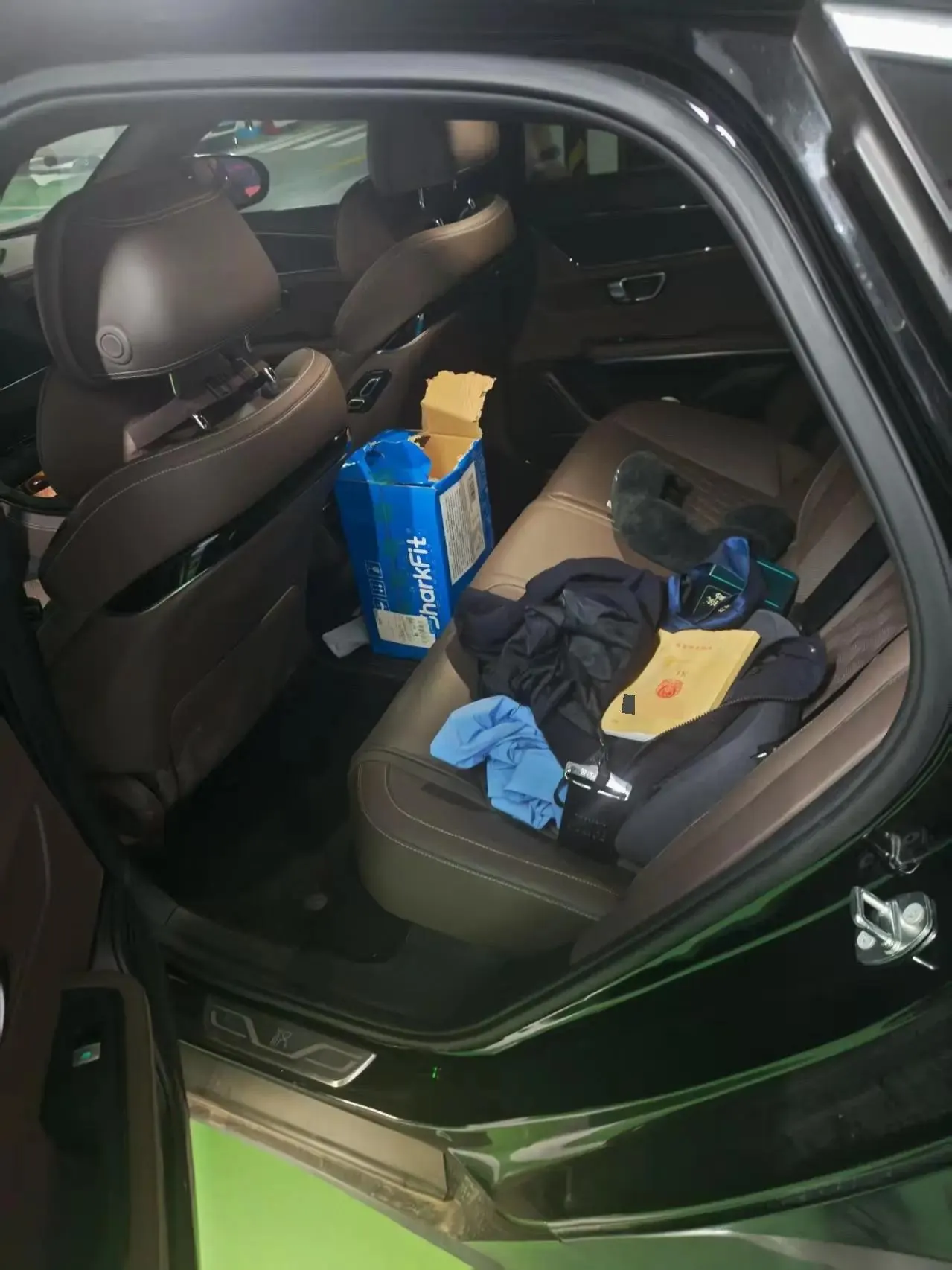 Han 2020 DM 4WD Performance Edition Premium Model 3