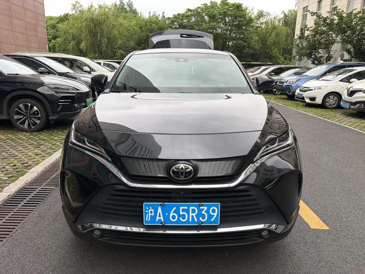 LingFang HARRIER 2022 2.0L CVT Two-Drive Ultimate Edition 2