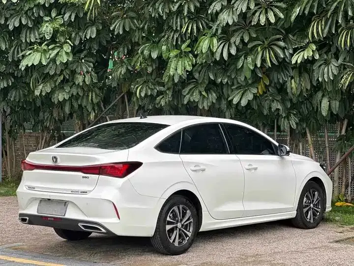 Yidong 2023 Enjoy PLUS Blue Whale NE 1.4T GDI DCT Premium Edition 16