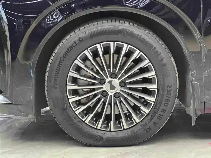 Denza D9 2022 DM-i 970 Four-Wheel-Drive Flagship Model 4