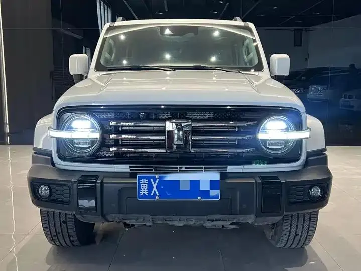 Tank 300 2024 2.0T Crossover 2