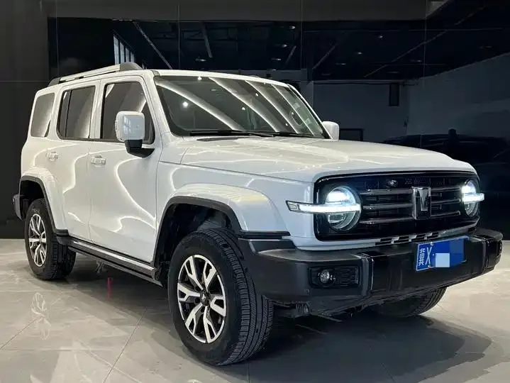 Tank 300 2024 2.0T Crossover 3