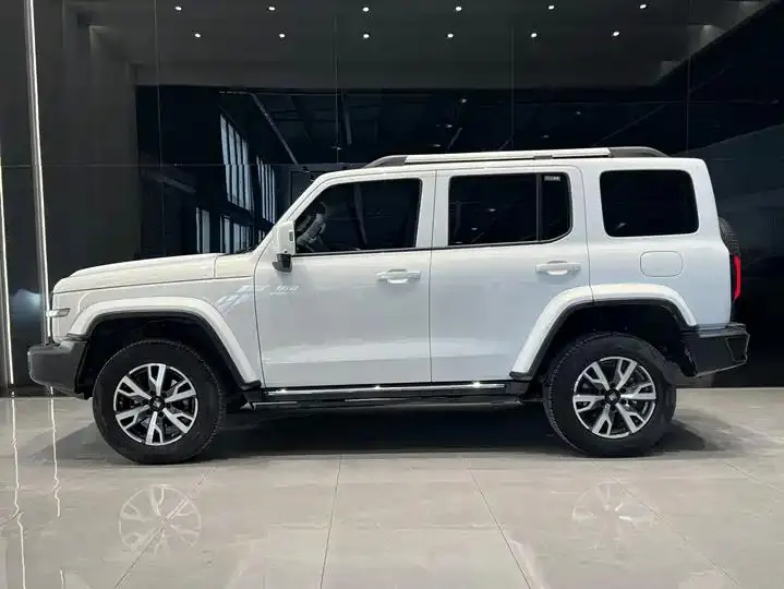 Tank 300 2024 2.0T Crossover 4