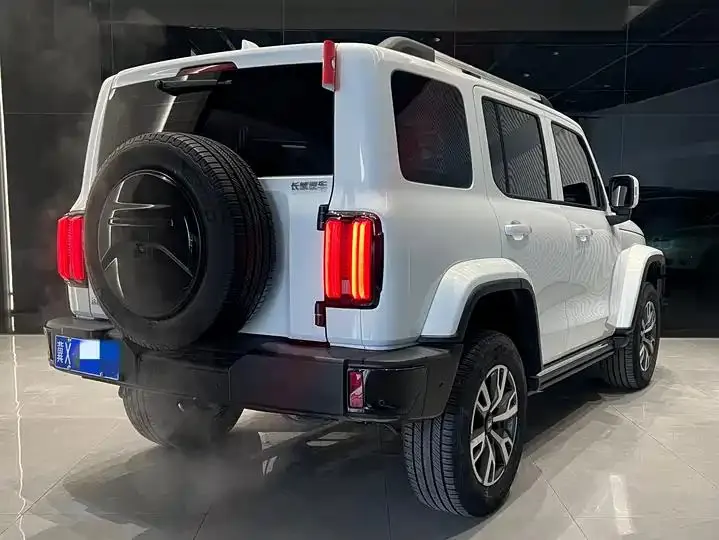 Tank 300 2024 2.0T Crossover 5