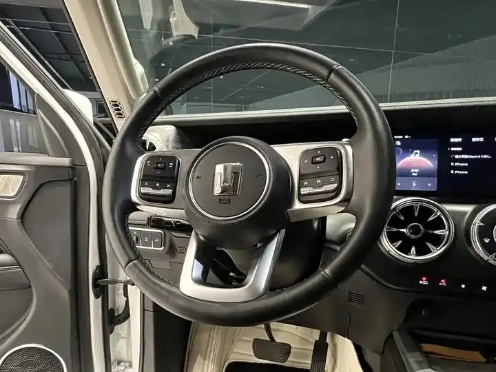 Tank 300 2024 2.0T Crossover 9