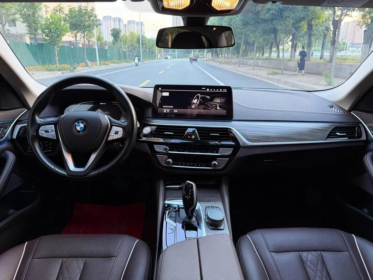 BMW 5 New Energy 2021 535Le Deluxe Suit 5