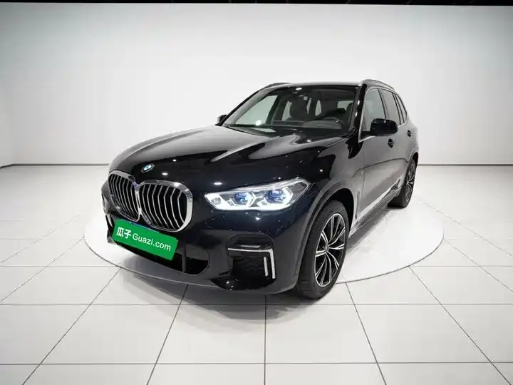 BMW X5 2022 xDrive 30Li exclusive m sports suit 2