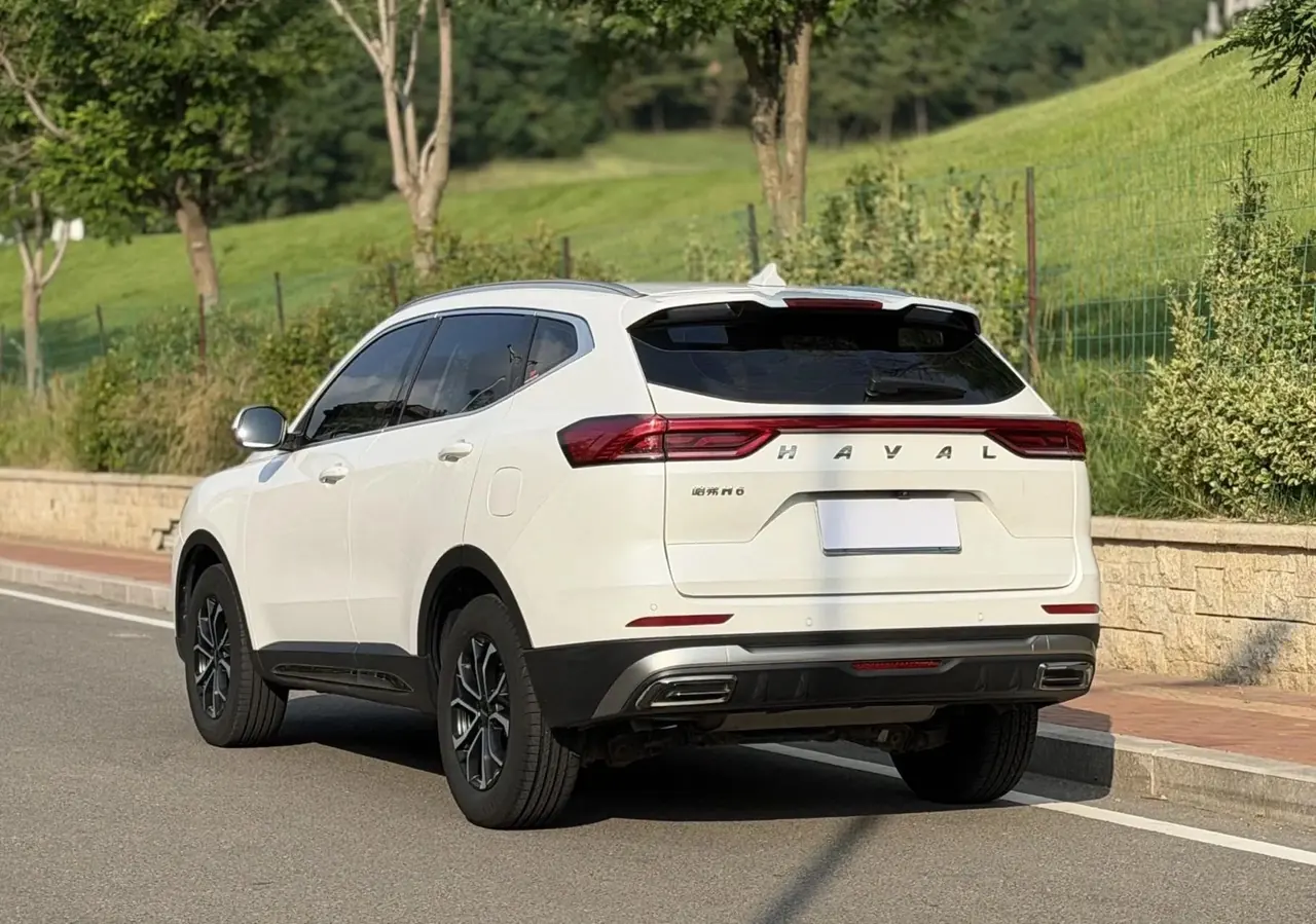 Haval H6 2021 China Chic Edition 1.5T Automatic Urban Version 6