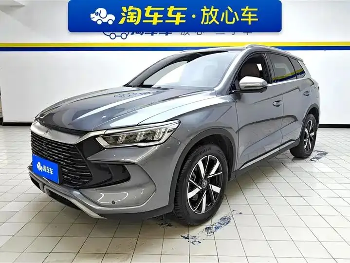 Song Pro New Energy 2024 Glory Edition DM-i 71KM Pilot - View 1