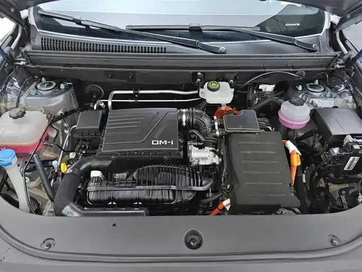 Song Pro New Energy 2024 Glory Edition DM-i 71KM Pilot 10