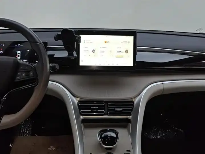 Song Pro New Energy 2024 Glory Edition DM-i 71KM Pilot 13