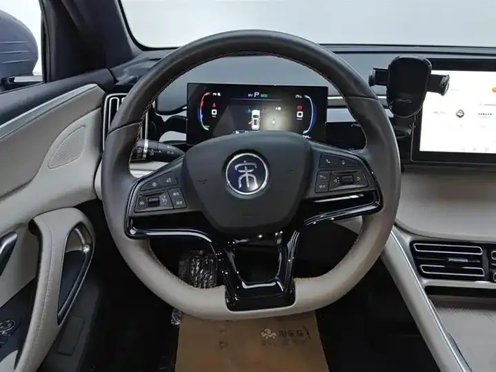 Song Pro New Energy 2024 Glory Edition DM-i 71KM Pilot 15