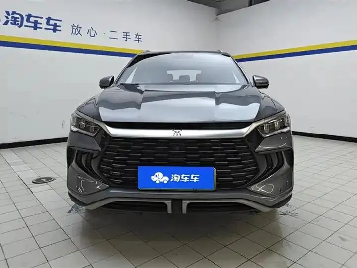 Song Pro New Energy 2024 Glory Edition DM-i 71KM Pilot 2