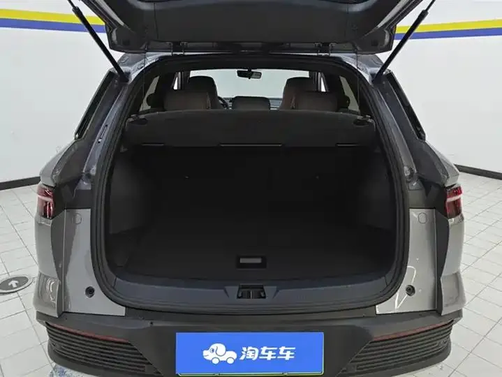 Song Pro New Energy 2024 Glory Edition DM-i 71KM Pilot 4