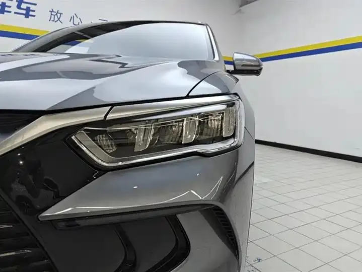 Song Pro New Energy 2024 Glory Edition DM-i 71KM Pilot 5