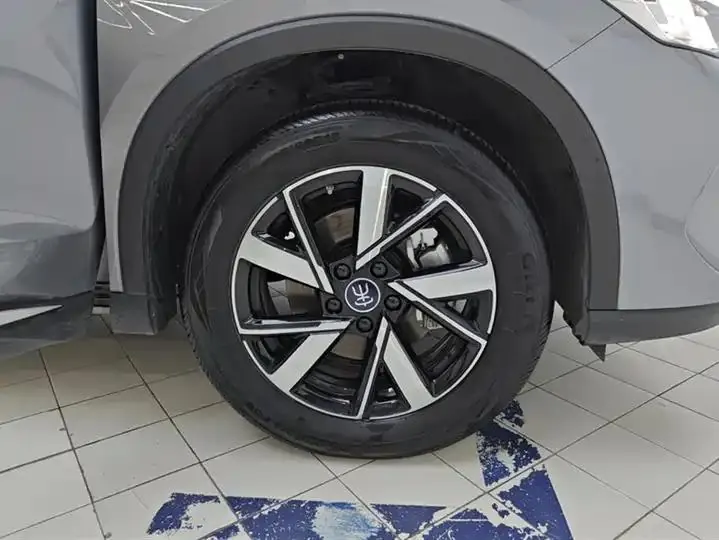 Song Pro New Energy 2024 Glory Edition DM-i 71KM Pilot 6