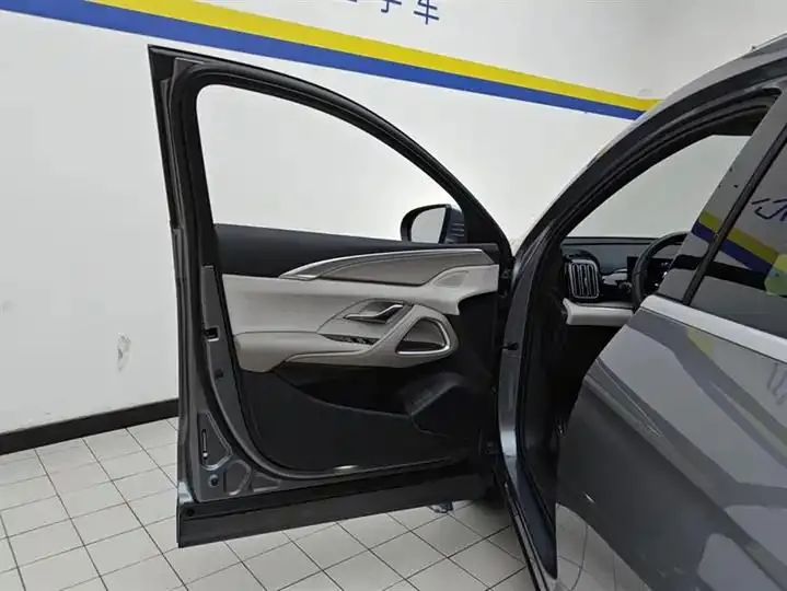 Song Pro New Energy 2024 Glory Edition DM-i 71KM Pilot 7