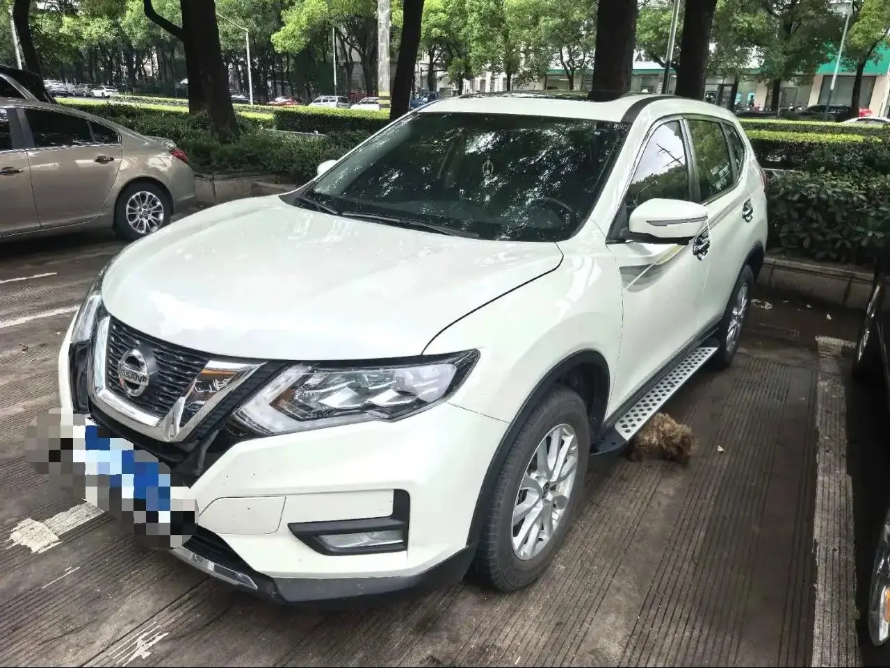 Qijun 2021 2.0L CVT 2WD XL Premium Enjoy Commemorative Edition - View 1