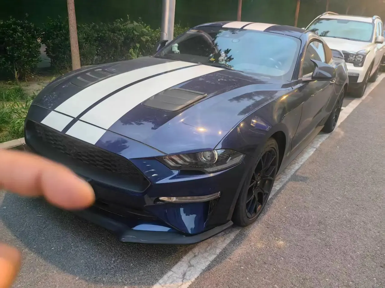 Mustang 2019 2.3L EcoBoost Performance Enhanced Edition - View 1