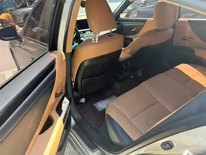 Lexus ES 2021 260 Excellence Edition 4