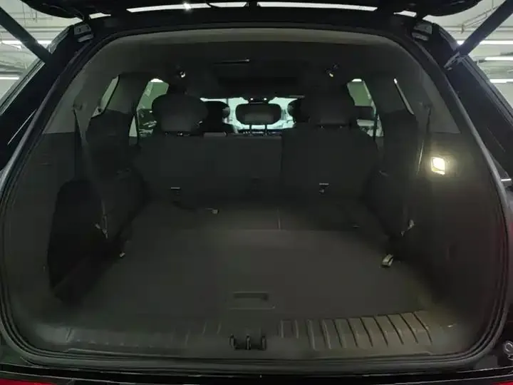 2023 Ruijie L 2.0T EcoBoost Two-Wheel-Drive Seven-Seater Luxury Model 19