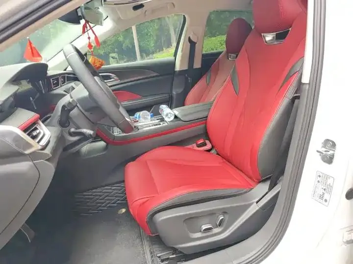HongQi H6 2024 2.0T to the United States Edition 12