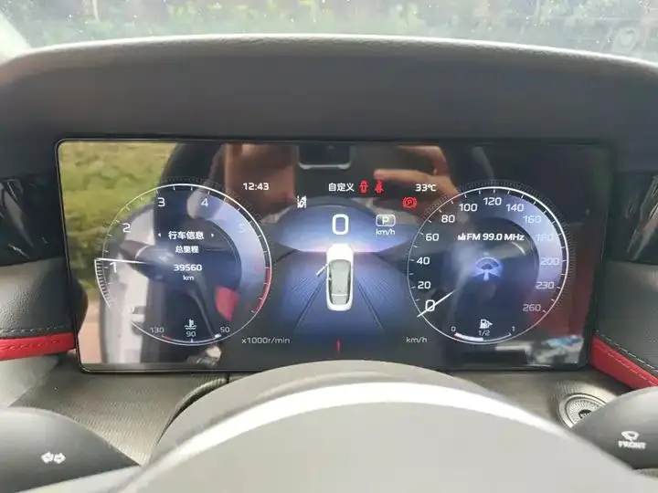 HongQi H6 2024 2.0T to the United States Edition 8
