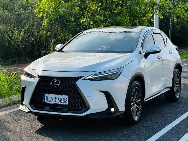Lexus NX 2024 260 Precursor Chuangyue Edition - View 1