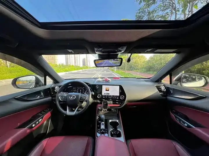Lexus NX 2024 260 Precursor Chuangyue Edition 13