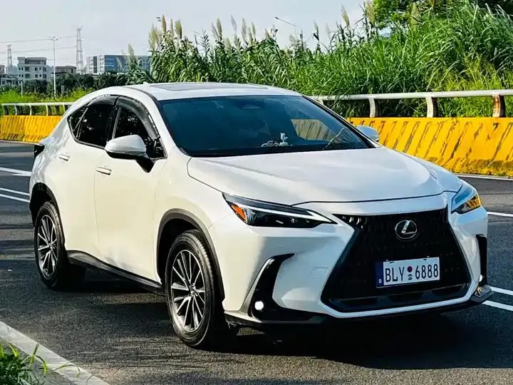 Lexus NX 2024 260 Precursor Chuangyue Edition 3