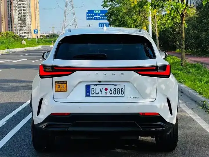 Lexus NX 2024 260 Precursor Chuangyue Edition 4
