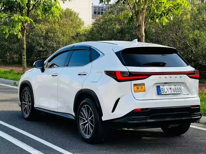 Lexus NX 2024 260 Precursor Chuangyue Edition 5
