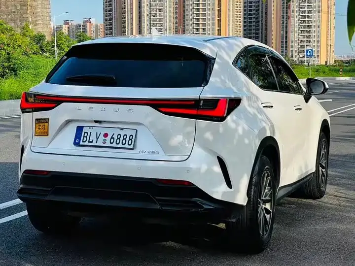 Lexus NX 2024 260 Precursor Chuangyue Edition 6