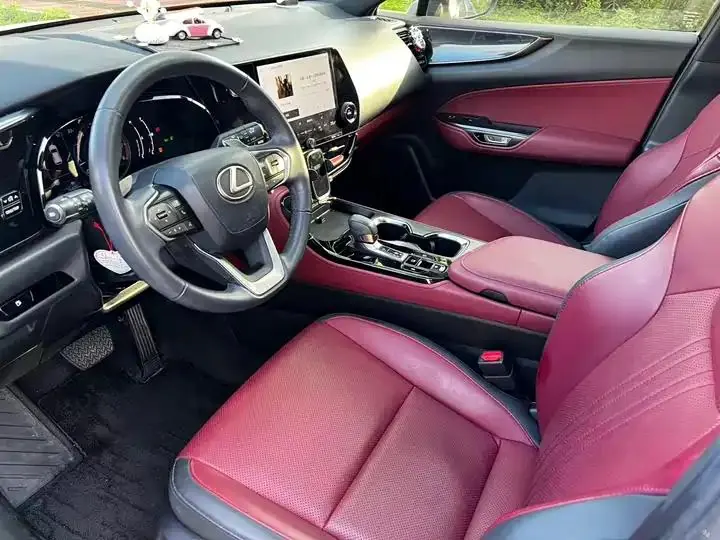 Lexus NX 2024 260 Precursor Chuangyue Edition 8