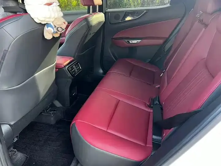 Lexus NX 2024 260 Precursor Chuangyue Edition 9
