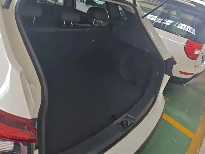 Xiao Ke 2021 2.0L CVT Smart Edition 4
