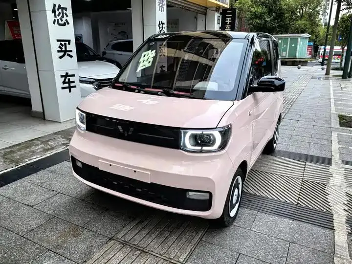 Hongguang MINIEV 2022 Maca Long Zhen Enjoy Ternary Lithium 3