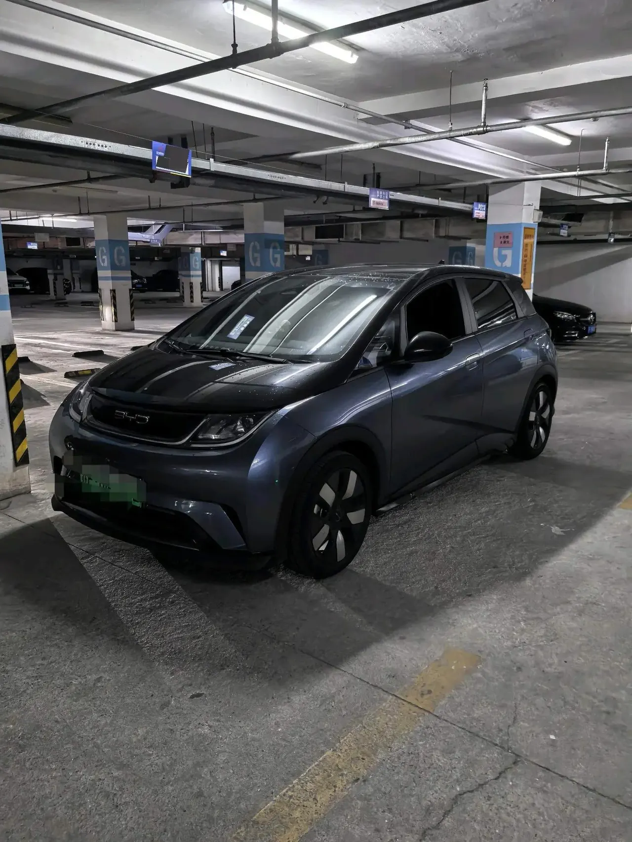 BYD 2023 Dolphins 401km Knight Edition Automatic Gear - View 1