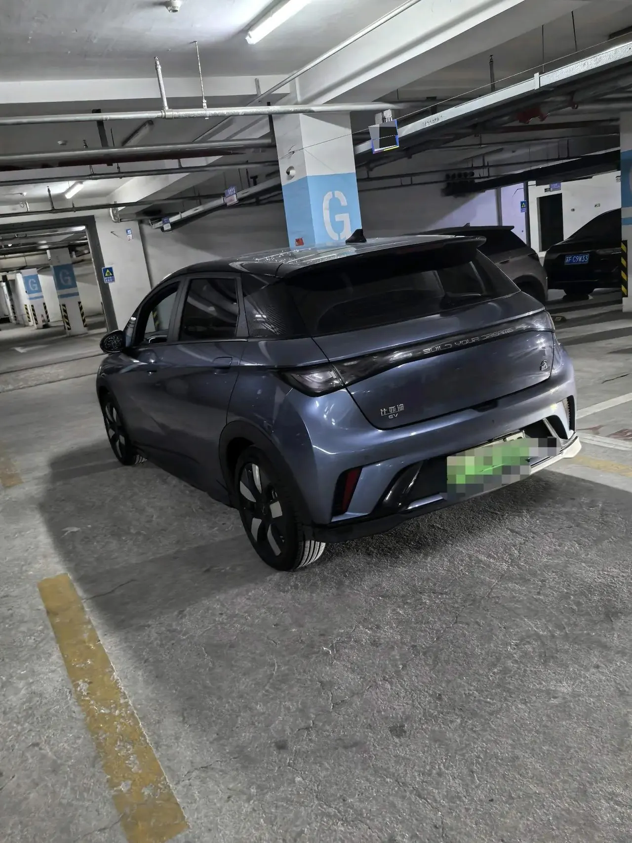 BYD 2023 Dolphins 401km Knight Edition Automatic Gear 5